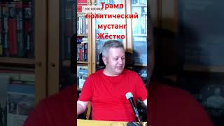 Трамп как политический мустанг. Секрет успеха. Максим Бромберг. #простожесть