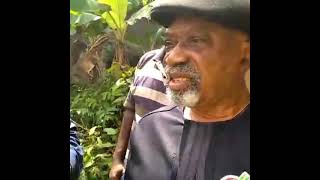 #Anambra Gubernatorial #Elections. #Chris #Ngige reacts after casting his #ballot