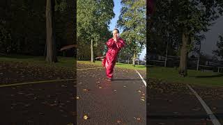 Tai Chi Chuan - Balance, Strength, Feeling | He Yong Gan