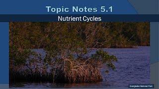 Topic Notes 5.1: Nutrient Cycles   2019