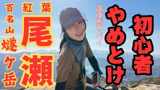 【初心者やめとけ】絶景★尾瀬燧ケ岳を長英新道から登る/尾瀬② #登山 #尾瀬 #紅葉