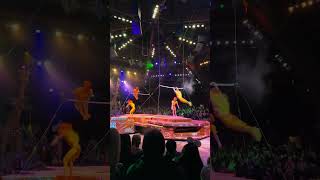 Festival of the Lion King Show | Animal Kingdom | Walt Disney World