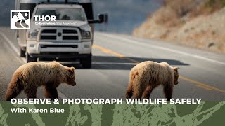 How To Safely Locate, Observe And Photograph Wildlife