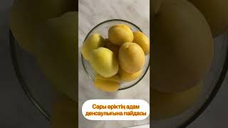 Сары өріктің адам денсаулығына пайдасы