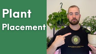 Plant Placement in your Home