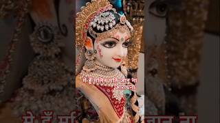 Bhav nhi dil me mere/ chitra vichitraji#treding#viral#radhakrishna #bhajan #bakebihariji #radharani