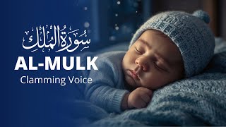 Surah Al-Mulk Repeated 7 Times | Discover Inner Peace | Relaxing Quran Recitation