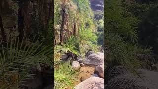 Nature Mountains in Yemen #yemen #Shorts #shortvideo