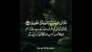 #Heart touching tilawat            #surah ibrahim ayat 18