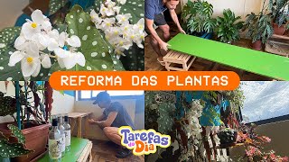 🍃💚 Fiz um suporte para plantas usando uma porta antiga - Tarefas Reforma 001