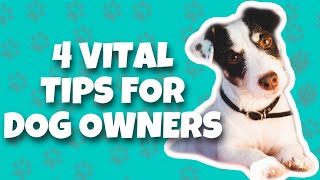 Tips For New Dog Owners (2020) | Tips for Dog Owners | Dogs As Art