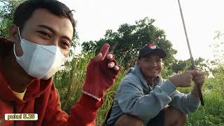 Tak terduga! Vlog Mancing dari Subuh hingga Strike #fishing #mancing #vlog