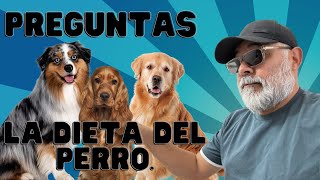 TOP 10 PREGUNTAS sobre La DIETA de tu PERRO by Alex Santillana