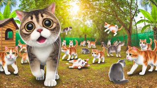 The Most Hilarious Cat Moments of 2024 | You Laugh, You Lose Challenge 😸