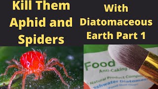 Diatomaceous Earth safe way to kill plant bug Spider Mites,Gnats and Aphids in 24 hours Part 1