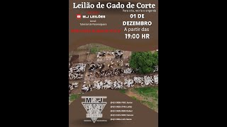 30° LEILÃO  M.J. LEILÕES  📌 DIA 01/12/21 ÀS 19:00 HS