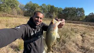 Biggest bass ever caught in a hidden toxic pond!