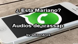 ¿ Esta Mariano ? - Audios de Wassap