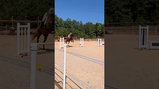 Miss this barn sm 💗#horse #equitation #dressage #hunterjumper #equinelove #showjumping #equestrian