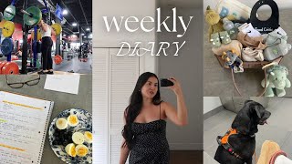 WEEKLY VLOG #60: LIFE UPDATES AND PLANS FOR THE YEAR