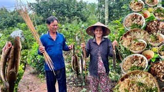 Thâm Câu Cá Lóc Mương Vườn Nhà Là Được Nồi Bún Nước Lèo Thơm Ngon Đặc Sản Sóc Trăng BLMT # 176