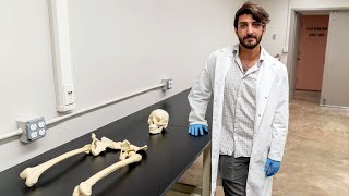 Armando Anzellini's bone research looks at past to learn about present