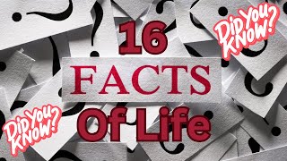 16 interesting facts about everyday life