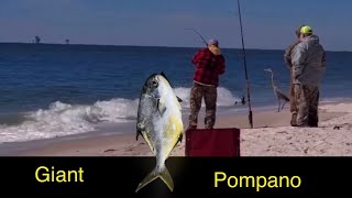 We caught 50 whiting and my giant pb pompano!!