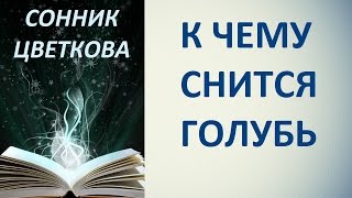 К чему снится голубь. Сонник Цветкова. Толкование снов.