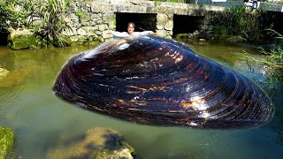 I found a plump river clam with abundant pearls in its belly.