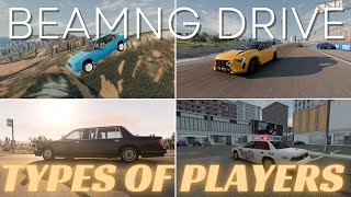 Different Types of BeamNG Players