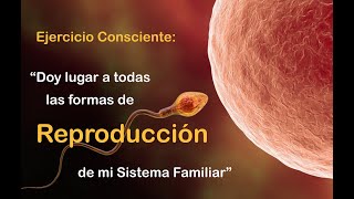 Ejercicio Consciente: "Doy lugar a todas las Formas de Reproducción de mi Sistema Familiar"