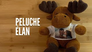 PELUCHE EN FORME D'ÉLAN