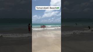 À Praia de Tamandaré PE