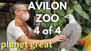 Avilon Zoo Rizal Philippines 4 @PlanetGreat