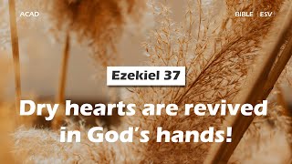 【 Ezekiel 37 】Dry hearts are revived in God’s hands! ｜ACAD Bible Reading