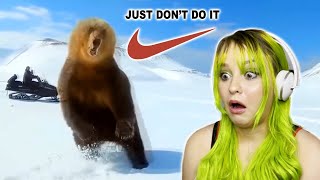 Craziest Wild Animal Close Calls! | Reaction