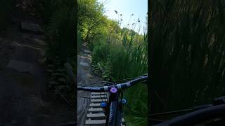 Wet tech trails #mountainbikeride #shortvideo #mtb #tech #shortvideo