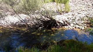 River Sella (Principality of Asturias, Spain)  E - GUIASTUR