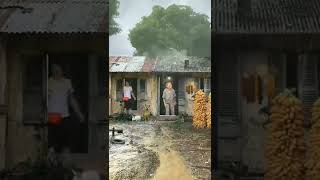 Nature | Chinese old house, summer rain, village life is the best, Nature 4k videos | short video