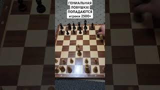 ЛУЧШАЯ ЛОВУШКА В ИСТОРИИ ШАХМАТ! Шахматы дебюты. #chess #шахматы #shorts