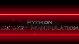 Python - Beanie - Manipulation