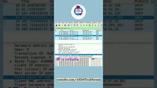 DHCP Negotiation -  A Packet Walk of DORA Exchange #sdntechforum #dhcp #wireshark  #networking