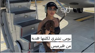 #يومي تشتري لكلبتها هدية من #هيرميس 🐕🎁