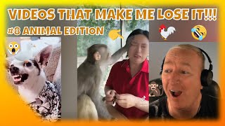 Videos That Make Me Lose It #8 - Try Not To Laugh - Compilation - Animal Edition - TikTok