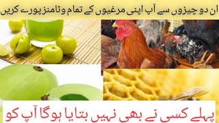 How to increase vitamin calcium and Minrals in poultry birds|مرغیوں میں قدرتی وٹامنز کا استعمال