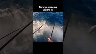 Serunya mancing seperti ini #mancing  #mancingmania #mancingliar