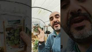 Conseils de Jardinage Urbain - Plantation de Poireaux et Mesclun en Février! 🌱🏡