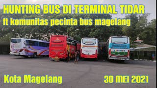 HUNTING BUS DI TERMINAL KOTA SEJUTA BUNGA || MAGELANG ||