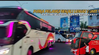 JRG MENEPI KARENA INI❓PUTRA PELANGI SEKALI LEWAT 2 UNIT❗❗